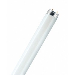 TUBO FLUORESCE LUMILUX PLUS T8