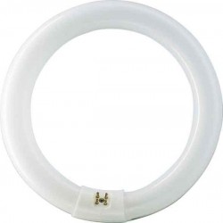 TUBO FLUORESCE CIRCULAR T9