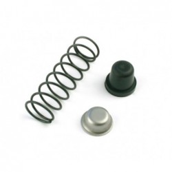 MUELLE+TOPE RECAMBIO 4000-0751