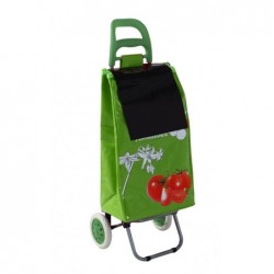 CARRO COMPRA VERDE