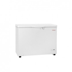 CONGELADOR HORIZONTAL 300L A+