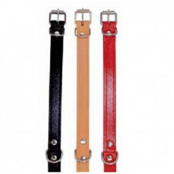 COLLAR CUERO PERRO