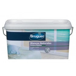 PINTURA PLASTICA MATE MONOCAPA