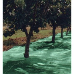 MANTA RECOGER ACEITUNA/ALMENDR